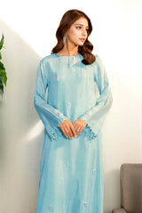 Lyra: Sky Blue Long Dress With Crystal Hand Embellishment - 469