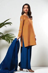 Kyra: Rust Dress With Hand Work - 486