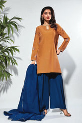 Kyra: Rust Dress With Hand Work - 486