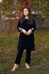 Zoe: Blue Velvet Kora Dabka HandWork Co Ord  - 380