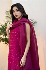 Karisa: Magenta Dress With Stone Work - 489