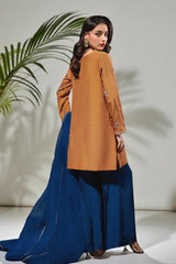 Kyra: Rust Dress With Hand Work - 486